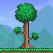 Terraria